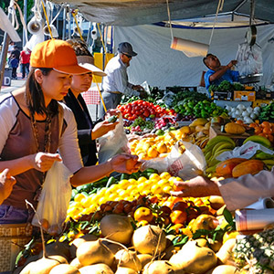 Customer shopping for produce